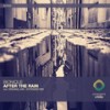 After the Rain (Extended Mix) - BIONIQUE