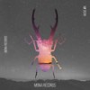 Mash Bass (Toru Ikemoto Remix) - Toru Ikemoto&Shin Nishimura