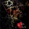 Amor True (Explicit) - ESNORTCOR