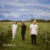 Bonnie - Blend