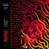 Synchronicity - Balagan&Densha Crisis