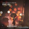 What I Am (Dave Neven Remix) - Dan Chase&Aneym