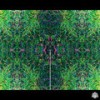 People Pass Like Years - Forest Kids Collective