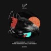 Five Cats (Original Mix) - Jacopo Ferrari