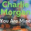 Vessel Grain - Charlie Morgan