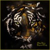 Horizon - Composed Poetry&Taheera