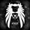 It Will Follow You! (Original Mix) - Nick Panlook&Chris Johns