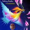 Echo - Valeriy Kuchin
