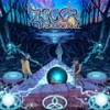 Paradoxical - ZIGOOR&Cosmic Illusion