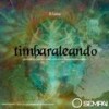 Timbaraleando (Jhon Superplastika Remix) - R. Salas