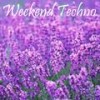Fall Into The Mind (Original Mix) - I.A.M.