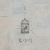 笼中鸟 - 周林枫