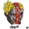 I Got Time (Explicit) - 克里斯·布朗&Young Thug&Shad Da God