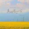 真的用了心 (DJ版伴奏) - 轻烟大叔