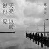其实并没有 (DJ豪大大版) - 邓轩&豪大大