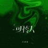 可怜人（DJ87版） (伴奏) - 苏谭谭