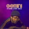 Livumile (feat. Dj owam, Noxolo & Veeco H) - Gemini RSA&Dj owam&Noxolo&Veeco H