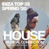 All About The Bass (Brazilian Bass Dub Mix) - Malaga DJs
