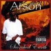 Money Ova Here - Arson