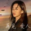 再见 爱人（Dj沈念版） - 石大侠