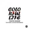 Colorful Life (Original Mix) - Thato Kashe&Jackson Brainwave