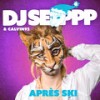 Après Ski - DJ Seppp&Calvin92