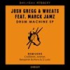 Special (Animist Remix) - Josh Gregg&Wheats&Animist