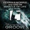 Miracle Of Life (Dub Mix) - Ferrin & Morris&Aneym