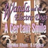 A Certain Smile - Wanda&the Electric Dogs