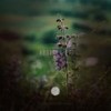 Rhedor (Original Mix) - Assuc