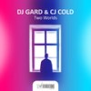 Loving Blindly (Extended Mix) - DJ Gard