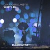 What I Am - Dan Chase&Aneym