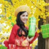Mưa Trên Quê Hương - Lê Như