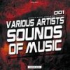 Surrender (Original Mix) - DJ Geri