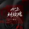 心上种玫瑰 (伴奏) - 程今