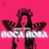 Buque Rosa - Boca Rosa (Explicit) - DJ Vitinho Beat&Love Fluxos&DJ BRN&Tortacts&MC Alemão ZS&Funk Mandelão Fluxos