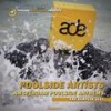 Never Say Never (Original Mix) - Altereva