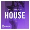 Hallucinations (Original Mix) - Ronzel