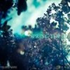 Sometimes (Drums Edit) - Robien M