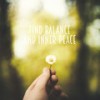 In the Silence - Yannis K. Ioannou
