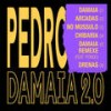 Damaia - Pedro da Linha