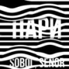 Пари (Explicit) - SOBOL&Senor