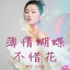 薄情蝴蝶不惜花 (伴奏) - 石大侠