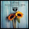 Salted Sunflower Seeds - LeDeep