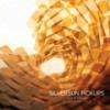 Working Title - Silversun Pickups