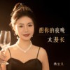 想你的夜晚太漫长 (DJ默涵版) - 燕宝儿