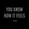 You know how it feels (Explicit) - GioHGS