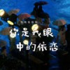 我记得你眼里的依恋 - 恰恰恰恰恰