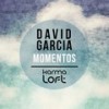 Camino (口白) - David Garcia