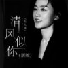 清风似你 (新版伴奏) - 石大侠